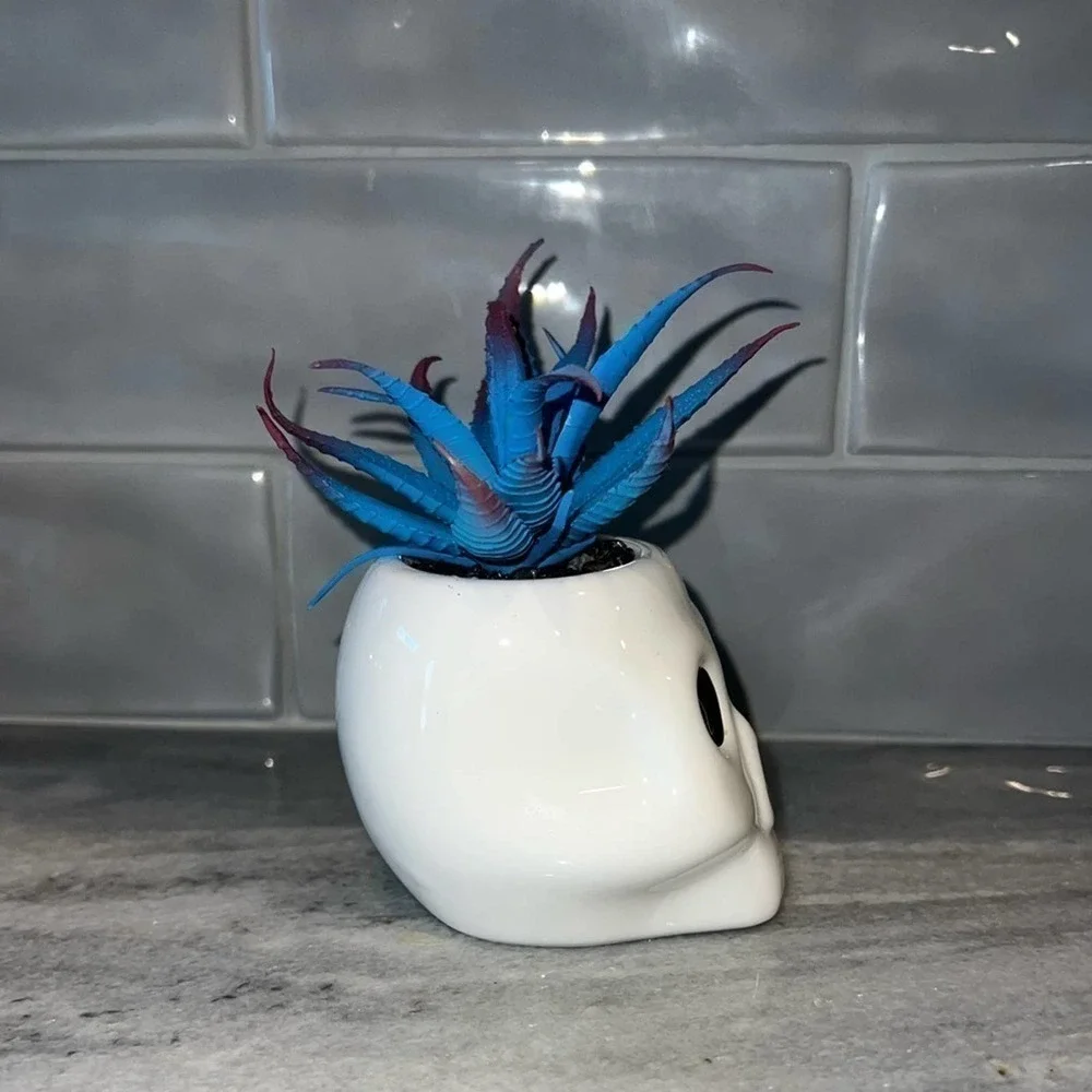 Skull Faux Succulent Halloween Decor Gothic Planter